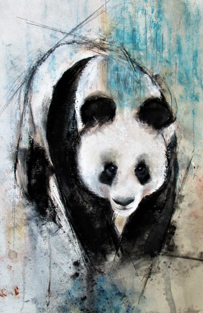 Disappearing Panda!